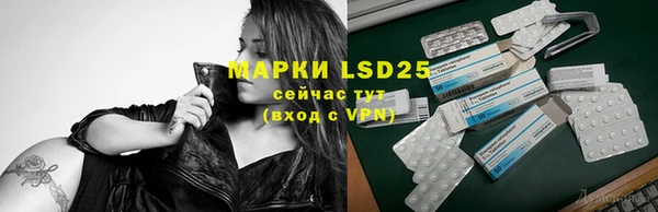 амф Вуктыл